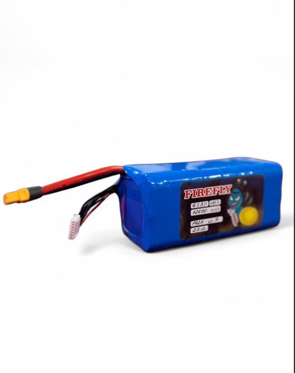 FPV PowerPack 6S3P Molicel P42A GB